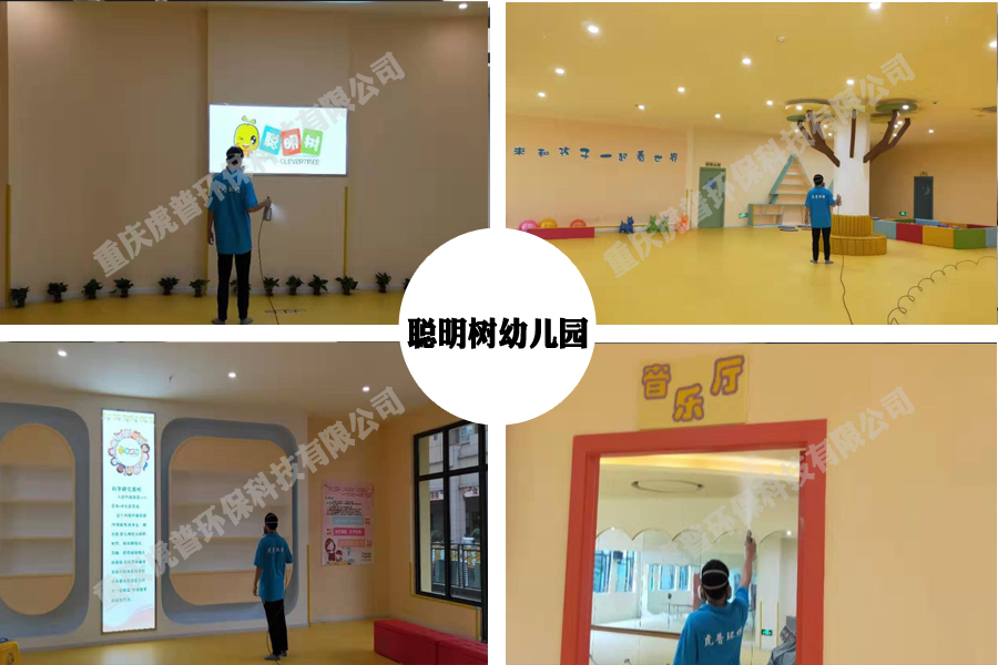 除甲醛公司 除甲醛公司